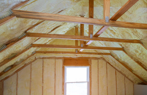 Best Attic Insulation Installation  in Andrews, SC