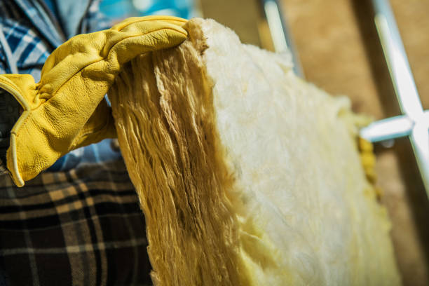 Best Energy-efficient Insulation  in Andrews, SC