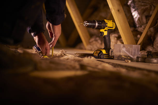 Best Insulation Removal  in Andrews, SC
